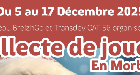 Collecte de jouets BreizhGo