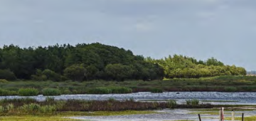 Photo marais salants
